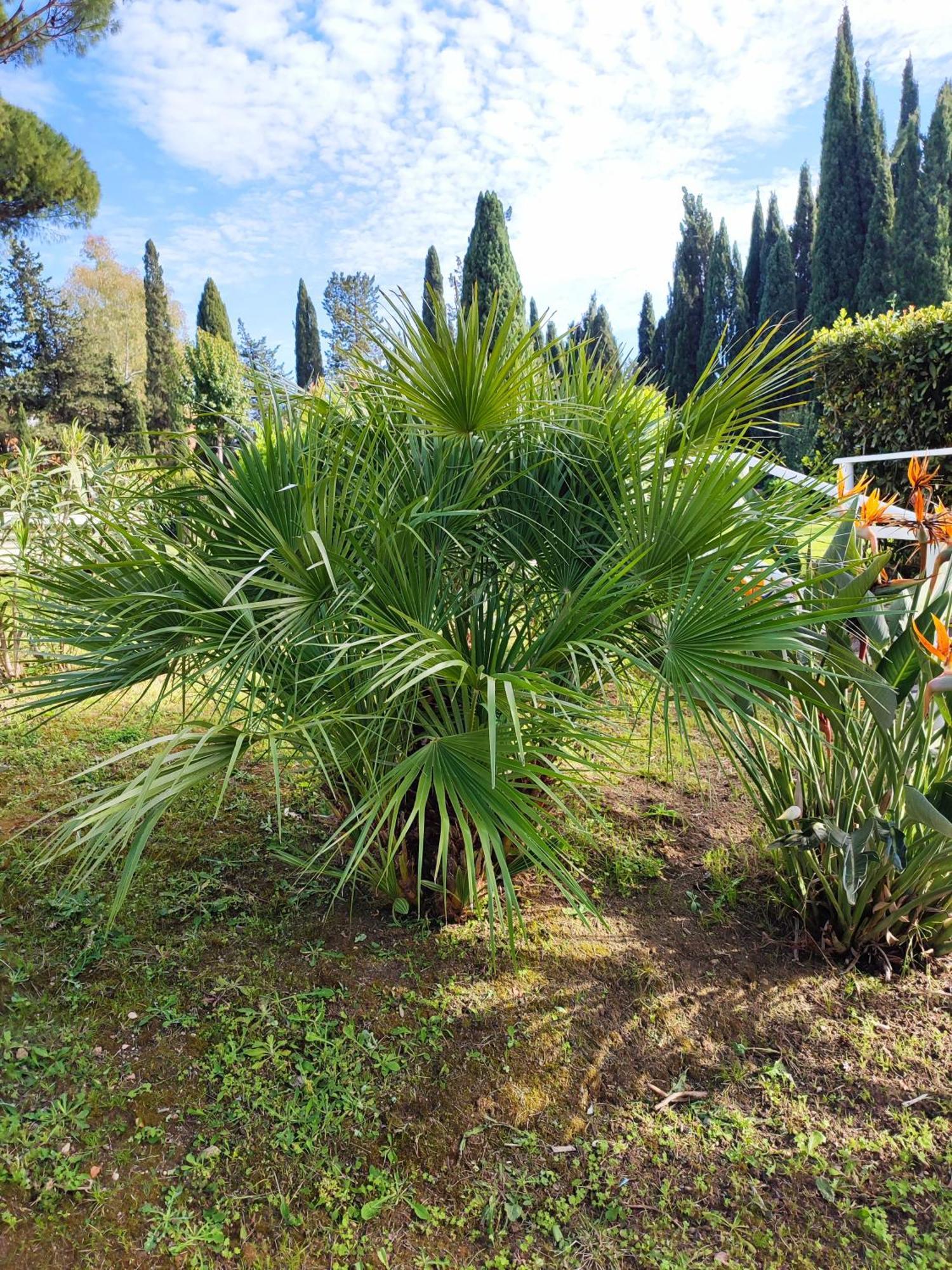Green Nest Rome Bagian luar foto